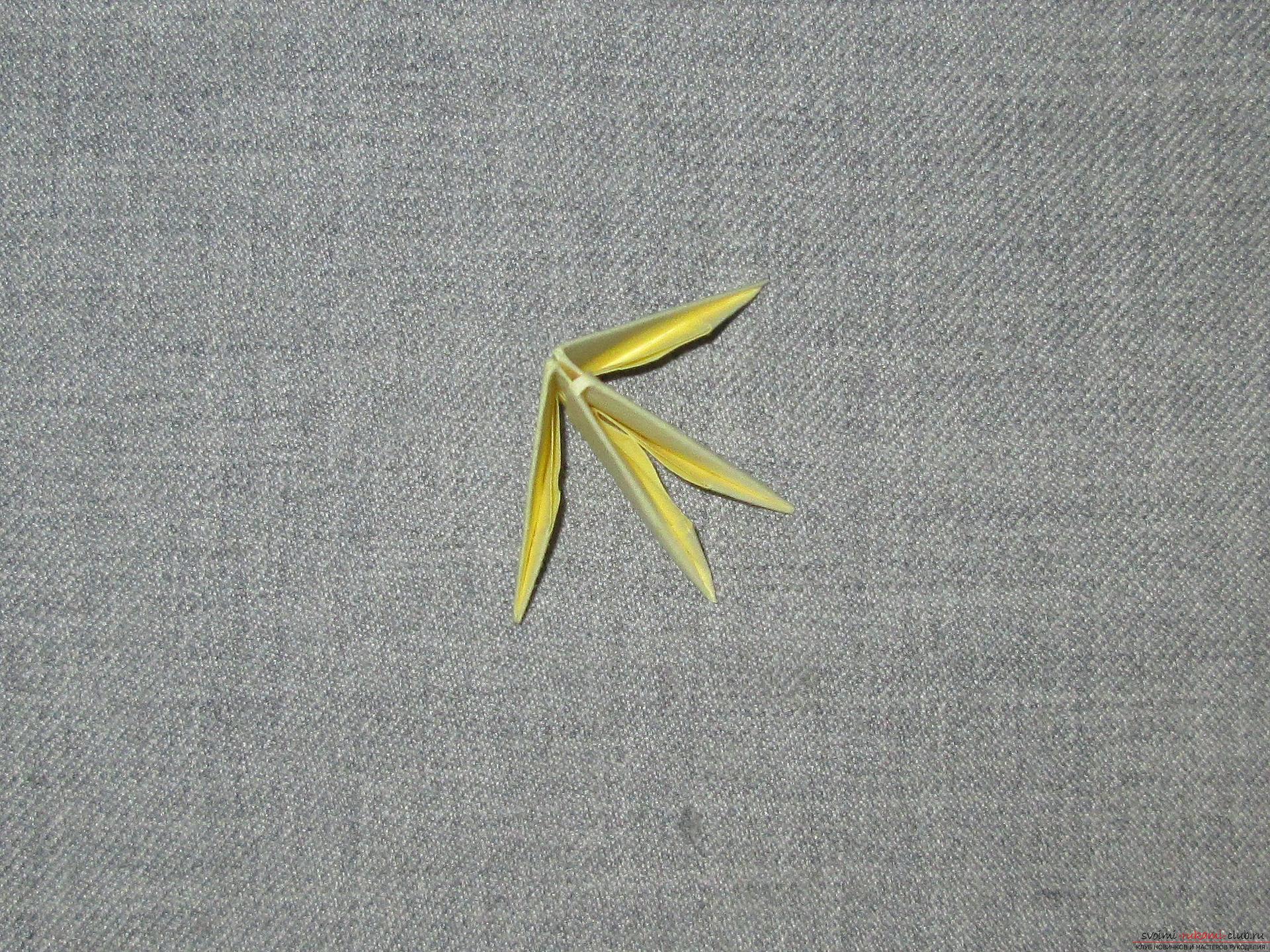 Для тех, кого увлекло модульное оригами, схемы сборки модуля - в нашем пошаговом мастер-классе.. Фото №7